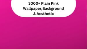 3000+ Plain Pink Wallpaper, Background & Aesthetic 4K, 8K, 1080p New 2024
