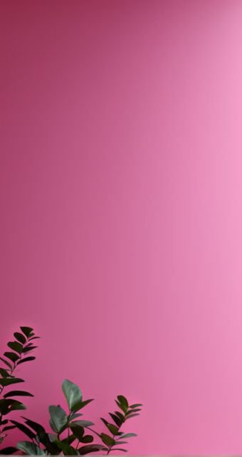Plain Pink Wallpaper, Background & Aesthetic 4K, 8K, 1080p New 2024